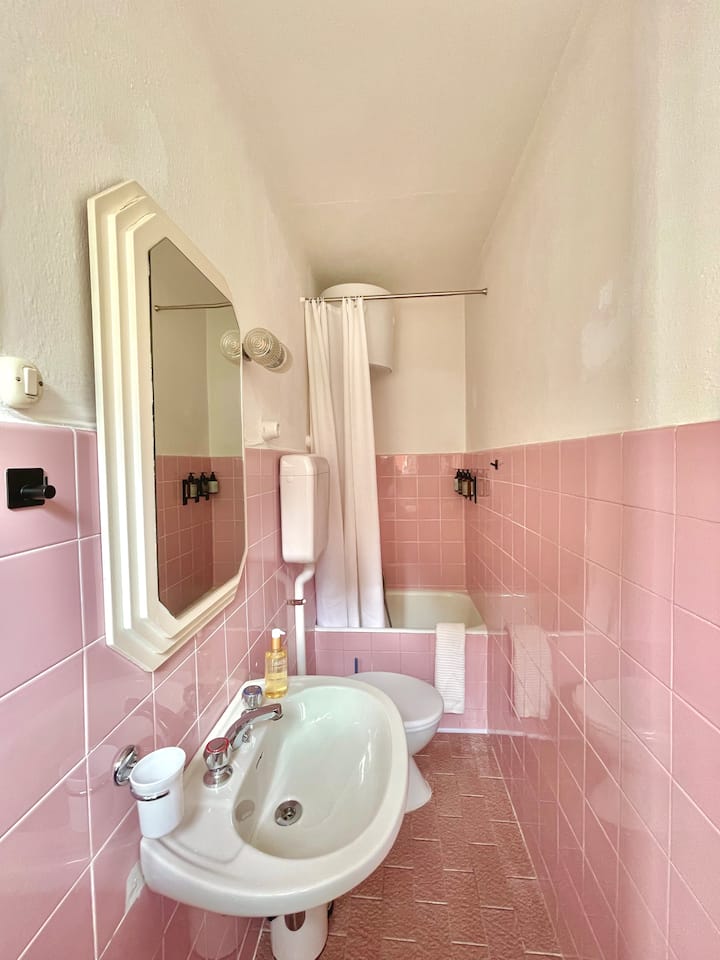 Vintage pink-tiled bathroom with tub and shower