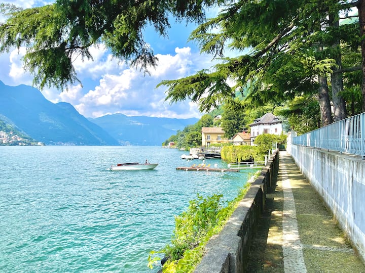 Lakeside walking path beneath the trees with a passing boat